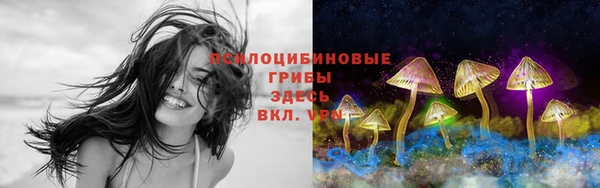 ECSTASY Ростов