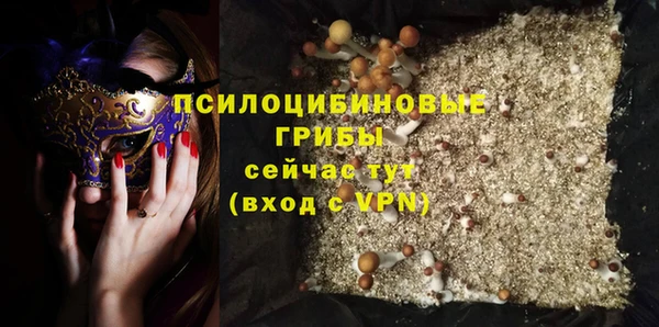 Альфа ПВП Россошь