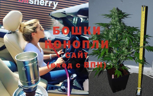 МДПВ Протвино