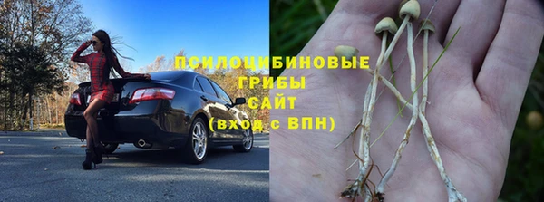 Альфа ПВП Россошь