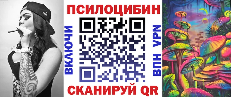 Купить где  Катайск  Псилоцибиновые грибы Cubensis 